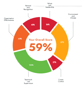 report-pie-chart